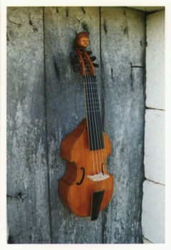 viole