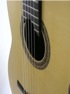 gui035.jpg