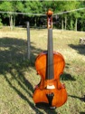 vio004.jpg